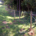 Galvanizada prevenir a cerca do campo da fazenda